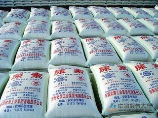 ���N�̷e�O��؛�� ���؃r����m�ϝq