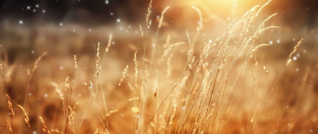 ���з�ͨӍ�硿�_ƪ2018���Ȼ��@��ůʽС�q