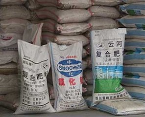 �������»��ʃr���µ� �AӋ���ڃȻ��ʕ����ַ�����q��څ��