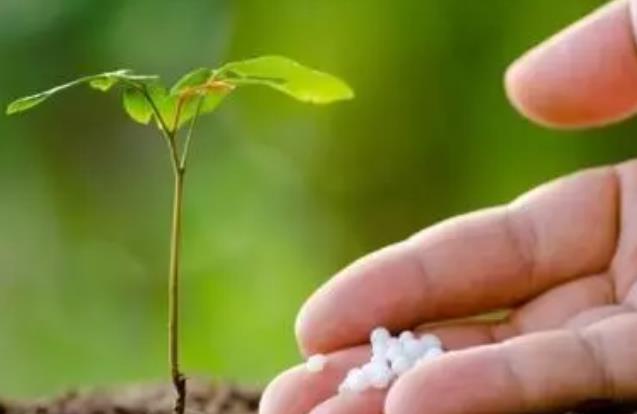 ��ǰһ�@�½�30-50Ԫ/�������@�����_4�ɣ��F�M�����ģʽ