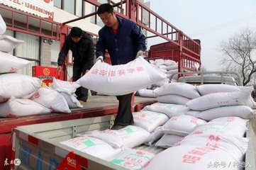 ���ʃr���B�m�ϝq���r������ԓ��Α���