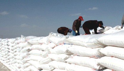 �׷��Ј�����ɶ׃����