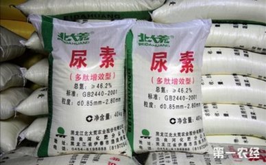 �K��؅^(q��)���ʃr(ji��)׽����͸�������֔(j��n)����