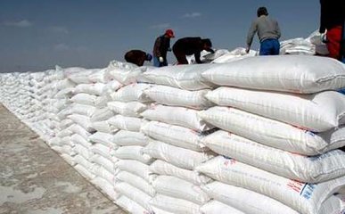 ����⛷ʃr(ji��)��ֲ���׃�������H�׷ʣ�