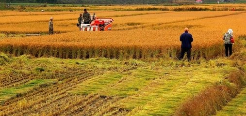 ⛷ʹ�����������ʲô߀�q�r��