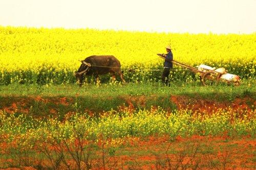 ������ʷ�(w��n)����ã����ء��Z�ݡ����������Σ�