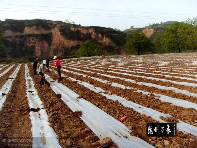 �������ʃr������A�ڣ����Е���ô�ߣ�