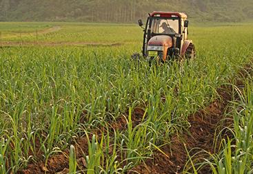 �����÷ʻ�����β�����K�؅^(q��)�ļ��ʅs�ձ鿴�q��������ʲôԭ��