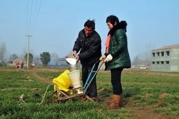 �����ʃr��Νq������