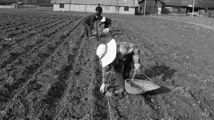 �A�Է��ϙM�ճ��������W�����ܷ񑪌������ữ��