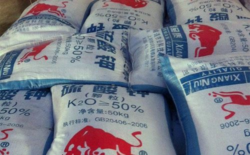 ������Ј�(ch��ng)�����@���������ڇ�(gu��)��(n��i)�Ј�(ch��ng)�y�и��^