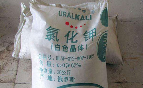 �Ȼ�⛃r�񵭼��ϝq����ʲô��