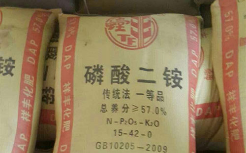 5�·ݺ���@���ٵ������AӋ���@�ļ��Ј��ۃr��������������