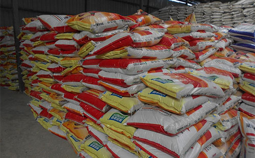 ԭ�σr���ͦ���΅s������ԣ���(f��)�Ϸ�ֻ���ڊA�p��ǰ��