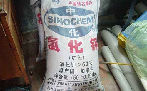 6��⛷ʵ������Ȼ�⛡�����⛞�ʲô�_���q�r���N��