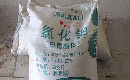 �M���Ȼ�������ϝq������⛕������ϝq�᣿