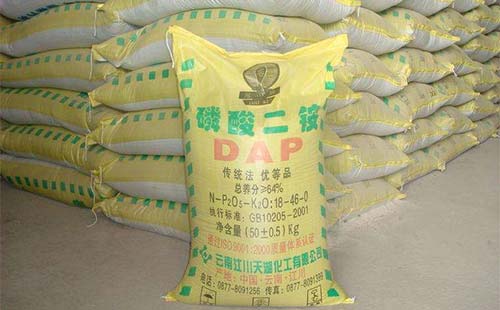 ���ʃr���ձ��ϝq�����@��΅s�ɳɽ��ѵ�