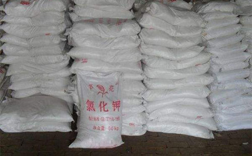 ����(ch��)��¶�^�ǽ�(j��ng)�N(xi��o)�̂���ُ(g��u)��֔(j��n)�� �����輰�r(sh��)�����P(gu��n)ע