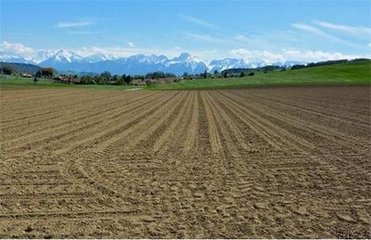 �������D���ƏͺϷ��Ј����°���ͺϷ��Ԍ��P���\��