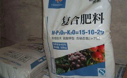 ���ʃr���ձ����ϝq����(f��)�Ϸʞ�ʲô���q������