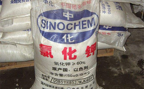 �Ȼ�⛞�ʲô�q���q�Þ�ʲô�@ô�ͣ�