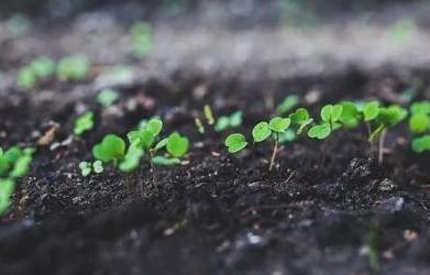 2018�껯���＾�N�۴�Ļ���_ �����׷ʏͺϷ����鲻һ