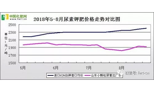 ����yʮ���_�Ļ���Ȼ�������߄ݸ��ӓ���