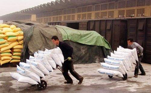 ���ڻ��ʶ������Ӿ�����������@�Ј��S���\��