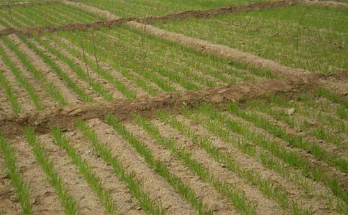 С���Nֲ��e�p���������N���cȥ��ͬ����ȸ��ӑK��