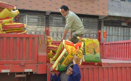 �׏ͷʕ��h�^�������������Ƿ�Ҳ��ȥ��ġ��q�r�����أ�