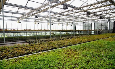 �ۿ���ͨ�F(xi��n)؛�^�� ⛷ʃr���λ��ͦ