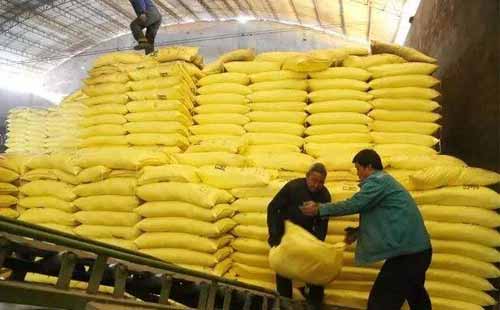 ���ڃ���������߀��̎�ڵ͹� ���_��Ҳ���������������Ј�