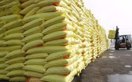 2019��|�������Ј��ͺϷʕ�����ȱ؛���ͺϷʃr��򌢈�ͦ����