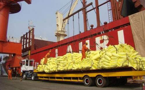 �ͺϷʶ�����rڅ�����^���@���Ј����־����Ԍ����m