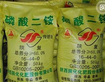 2019�괺���������@�������� ��ɶ�Ј�������