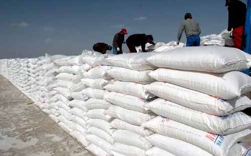 ⛷��Ј���r���r����������̎��ƽ���B