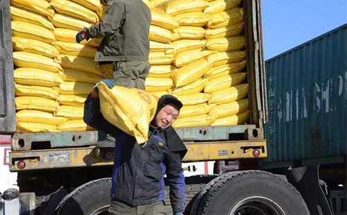 �������镺�r(sh��)���y�D(zhu��n)�գ���?q��)��ل?chu��ng)���(n��i)�¸�ˮƽ