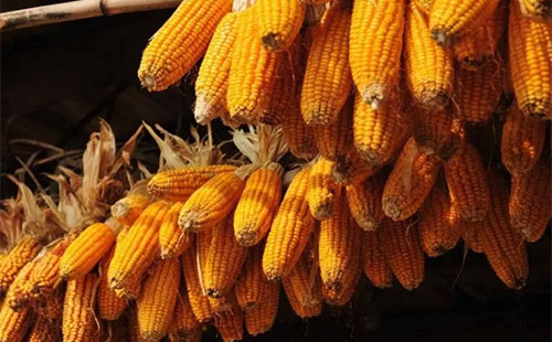 ���׃r���߄݌��������ش�Ӱ푣���ô���׃r���߄�����أ�