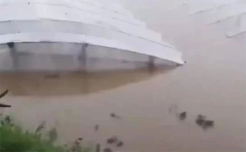 ���_(t��i)�L(f��ng)�������R��Ӱ������ڻ����ИI(y��)��(sh��)����ɛ_��