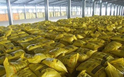 ���؃r��򌢱������БB�� ���Pע�＾���Ј��N����r