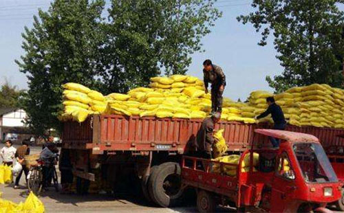 �＾������һ�ѡ������ӡ��������Ј��M�̽��֜���