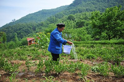 ���ʩ�ʵ�Ҫ�c(di��n)��ʲô��������_��ʩ�ʼ��g(sh��)