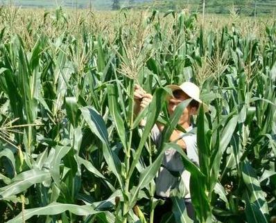 9�·݂��y(t��ng)�����Ј�(ch��ng)�q�����F(xi��n)�����ͷ����Ј�(ch��ng)�@Щ���P(gu��n)ע�c(di��n)