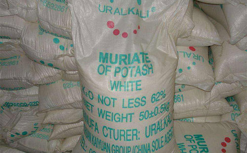 �M�ڷ��τ��µͣ��r���B���˺ܾõ��Ȼ�⛿���Ц�ˆ᣿