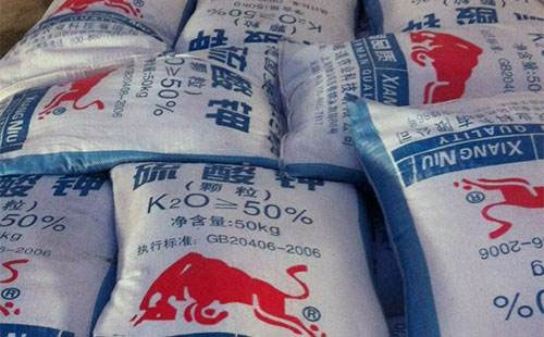 6�����Ͻ��N�̲�������������������