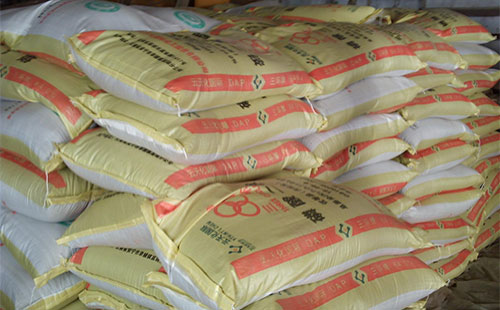 ���@���齩�֞���������(sh��)��(j��ng)�N�̌���ُ�ɑ]����