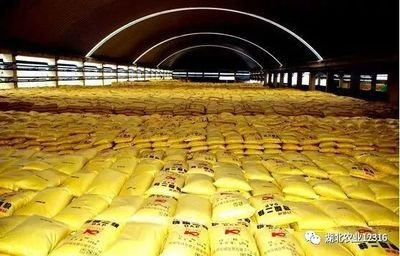 �r�I�r�岿����Ҫ������I�_�������_��������ˮƽ