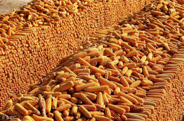 ���׃r��ͻ��1Ԫ/����m߀�ܝq���٣�