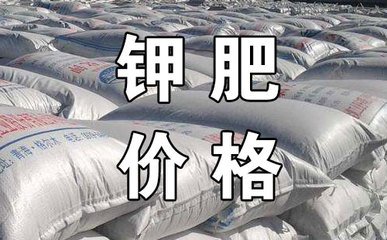 ⛷ʣ��a���������� �r���y��̧��