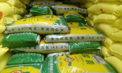 ������r���������ИI����ȥ�Ώ���